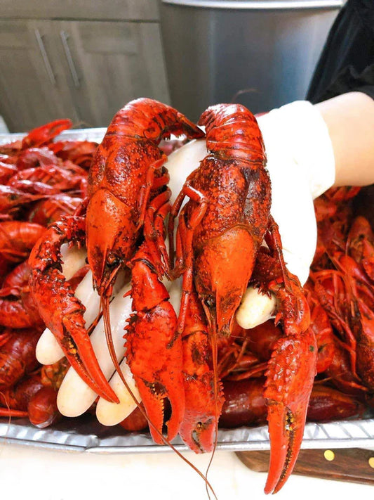 10lbs - Boil Crawfish (Promotion)